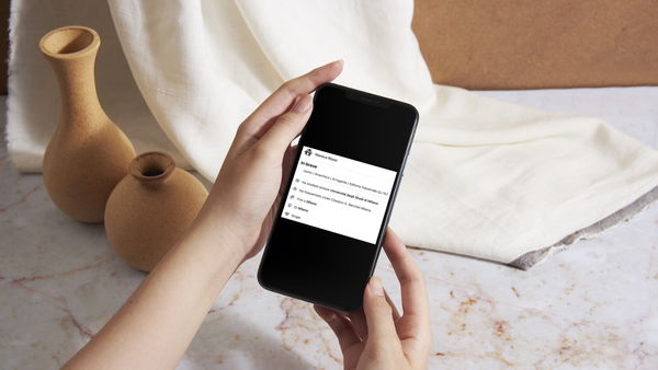 «Siamo al 20%», il profilo Facebook “Monica Rossi” e il ruolo centrale all’interno della vicenda