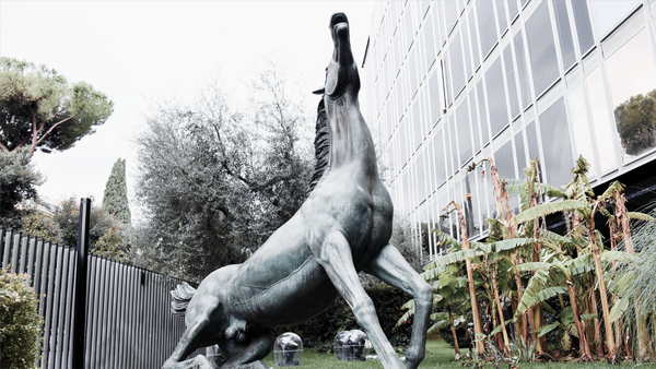 Cosa dice il contratto di servizio della Rai sulla sensibilizzazione sul cambiamento climatico