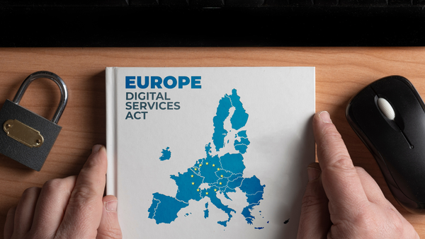 Come stanno andando i primi giorni del Digital Service Act