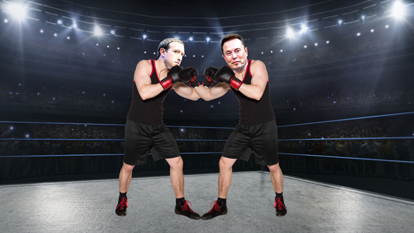 Perché Musk e Zuckerberg vogliono darsele di santa ragione?