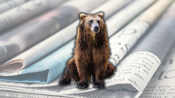 Tra InfoCert e NoName, la fine del 2024 non fa segnare nulla di nuovo nella cybersecurity italiana