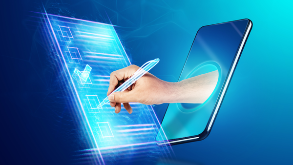 Le criticità del portale e-vote (e, in generale, del voto elettronico)