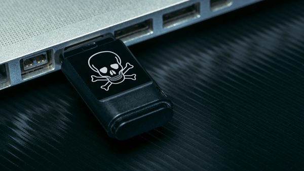 Si può realmente sgominare una cyber-gang?