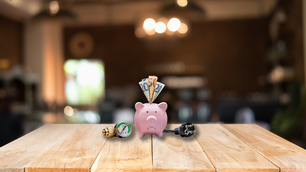 Come funzionano le tariffe dual fuel (luce e gas)?