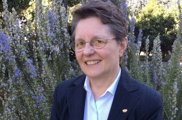 Offrire nuove prospettive alla missione della Chiesa nel mondo contemporaneo