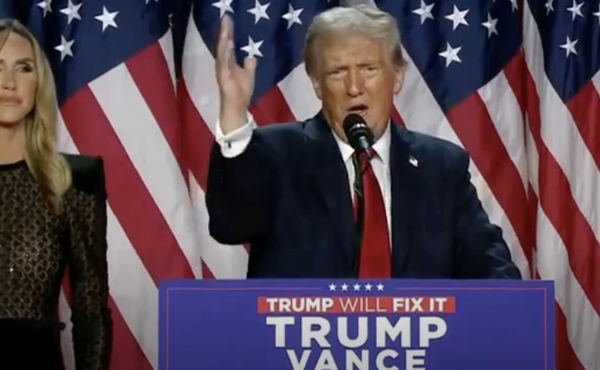 Trump sa davvero di cosa si occupa Elon Musk?