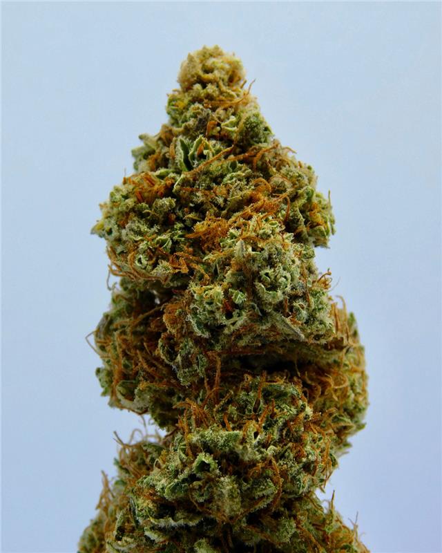 article-post