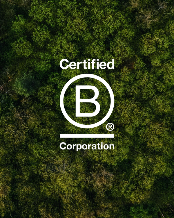 B Corp: cosa c’è davvero dietro la certificazione più ambita del capitalismo sostenibile? 