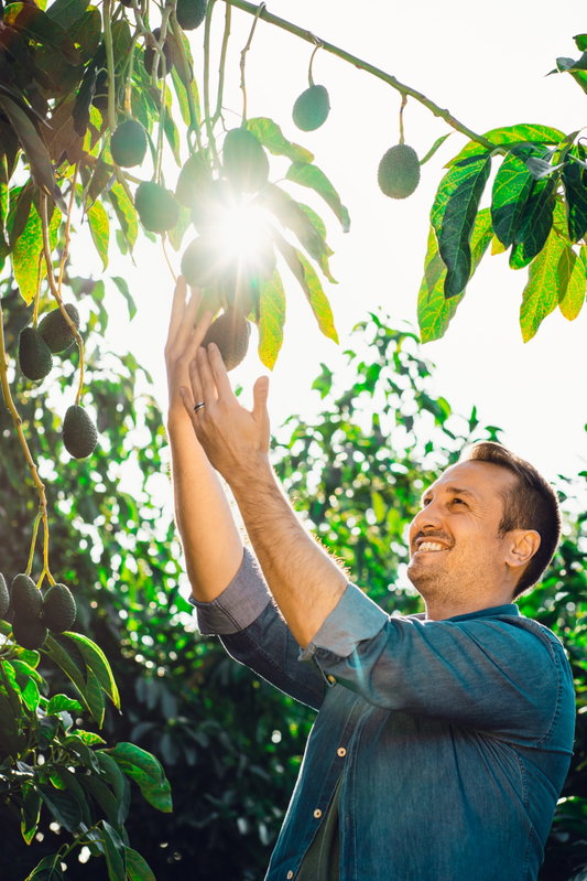 «Vent’anni fa l’avocado lo scambiavano per una zucchina»: Andrea Passanisi e la Sicilia che ha imparato a raccontare il tropicale