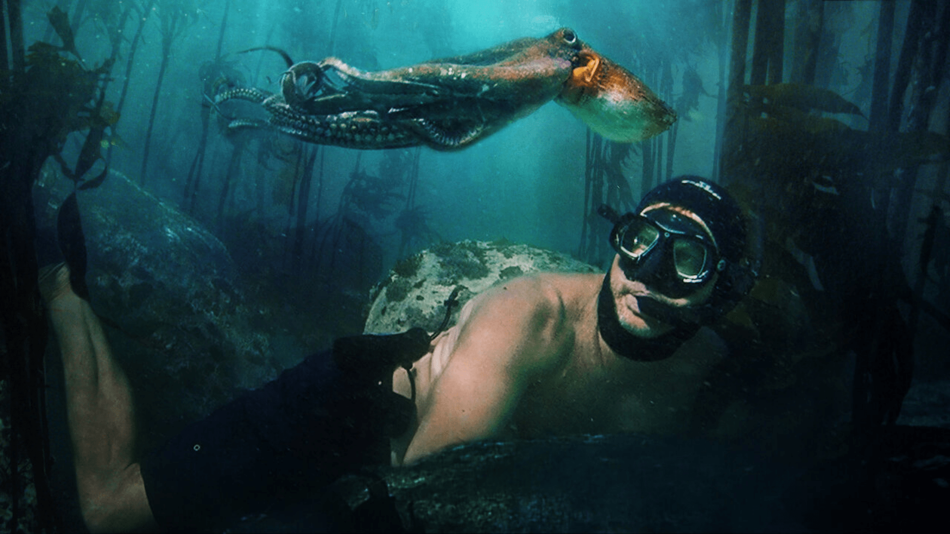 Oscar 2021 - Il mio amico in fondo al mare