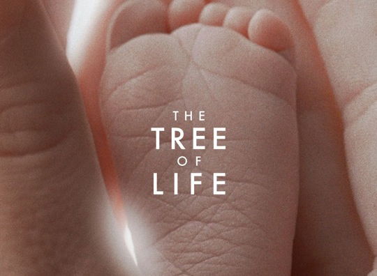 Davvero niente Malick preview