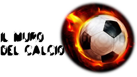 Il Muro provvisorio preview