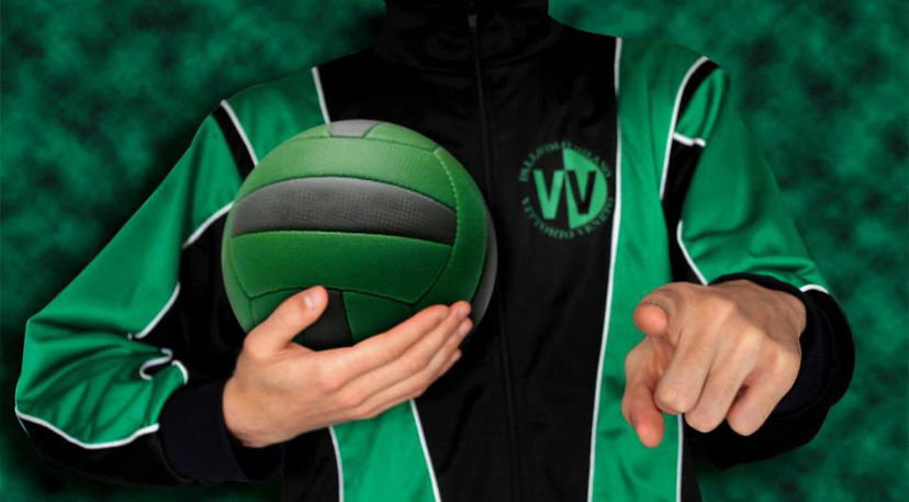 Le lezioni del professor Bazan preview