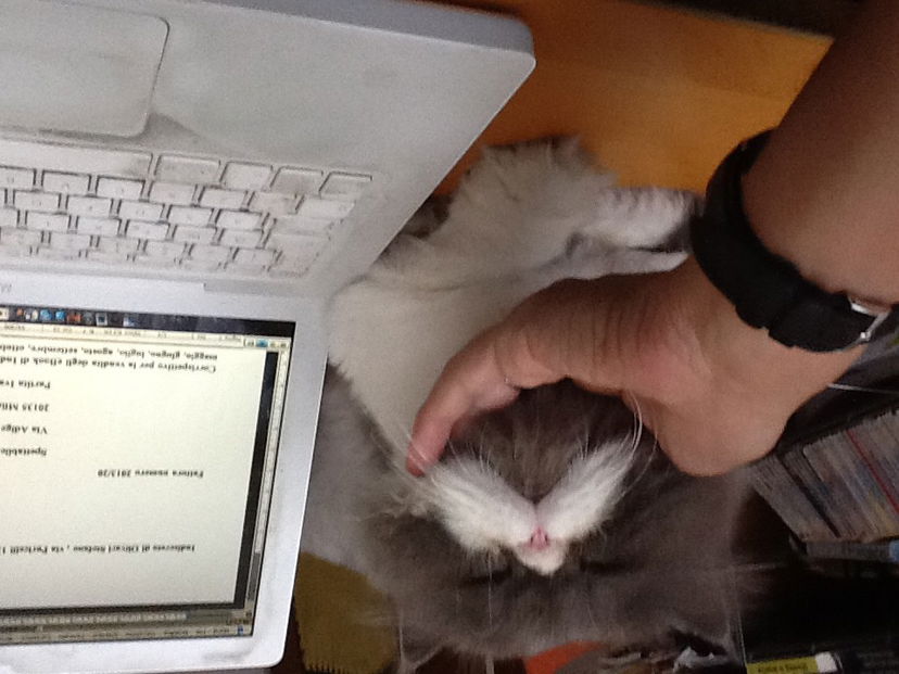 Atei in trincea preview