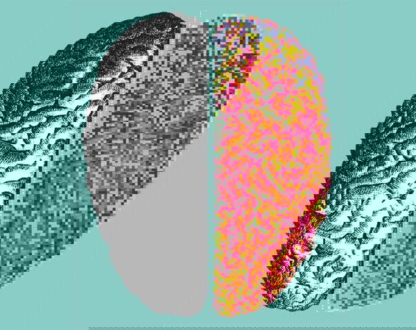 Brain, una mostra che ha cervello preview