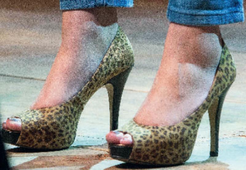 Boschi o Carfagna? preview