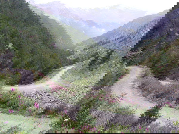 L’ultima pedalata preview