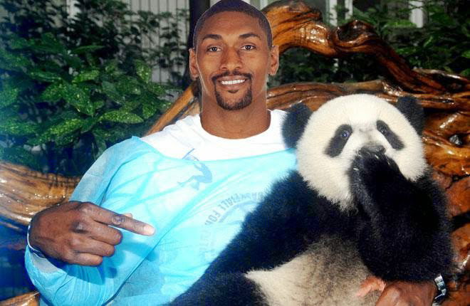 Il legno di Ron Artest preview