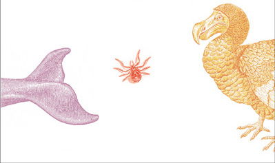 Mille anni o un giorno appena, l’età dell’Universo preview