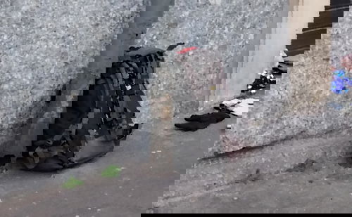 La vita in uno zaino preview