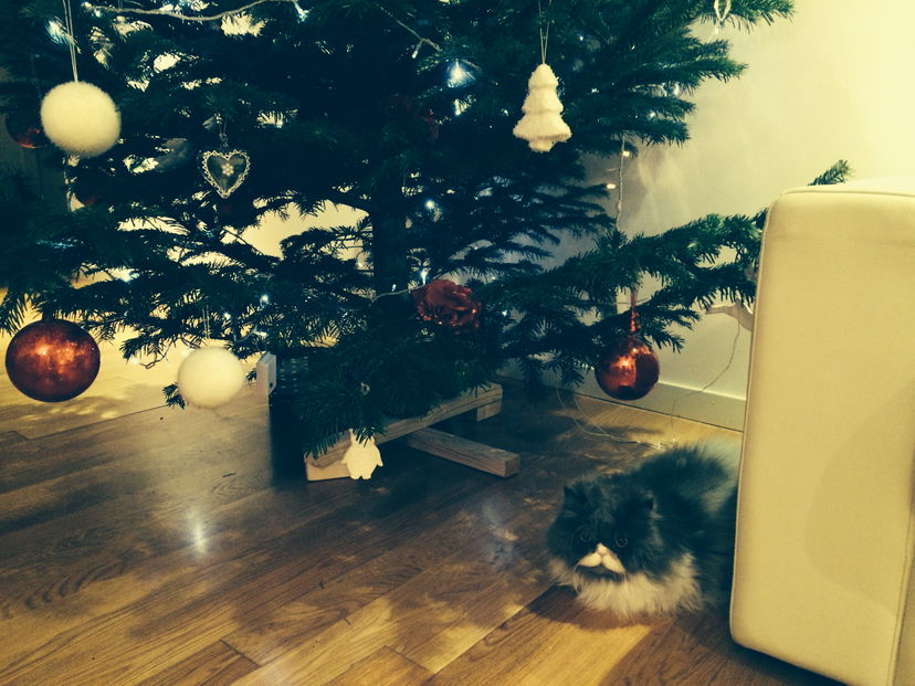 Buone feste da Indiscreto preview