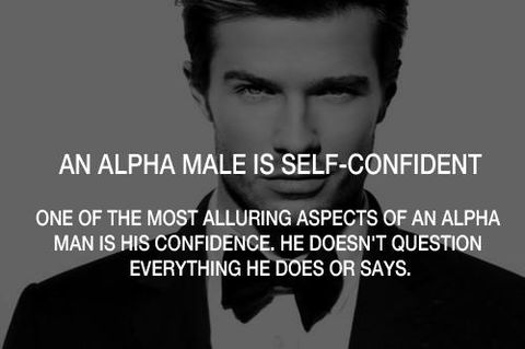 Segnalazioni Uomo Indiscreto 2016 preview