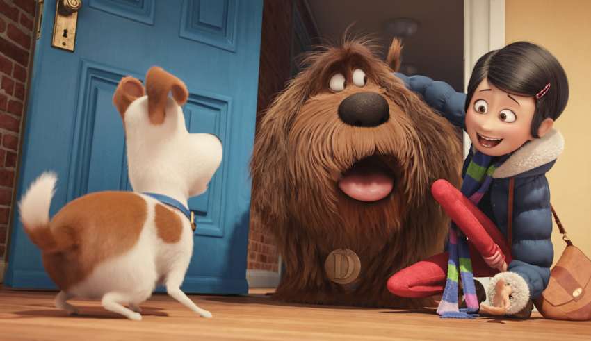 Pets, la rivoluzione degli animali article-post