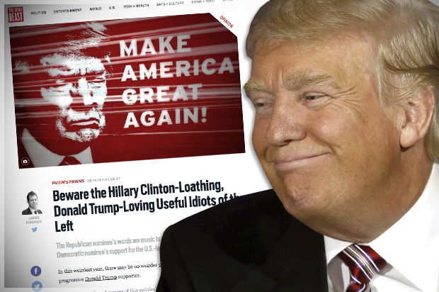 Un voto al giornalista di sinistra preview