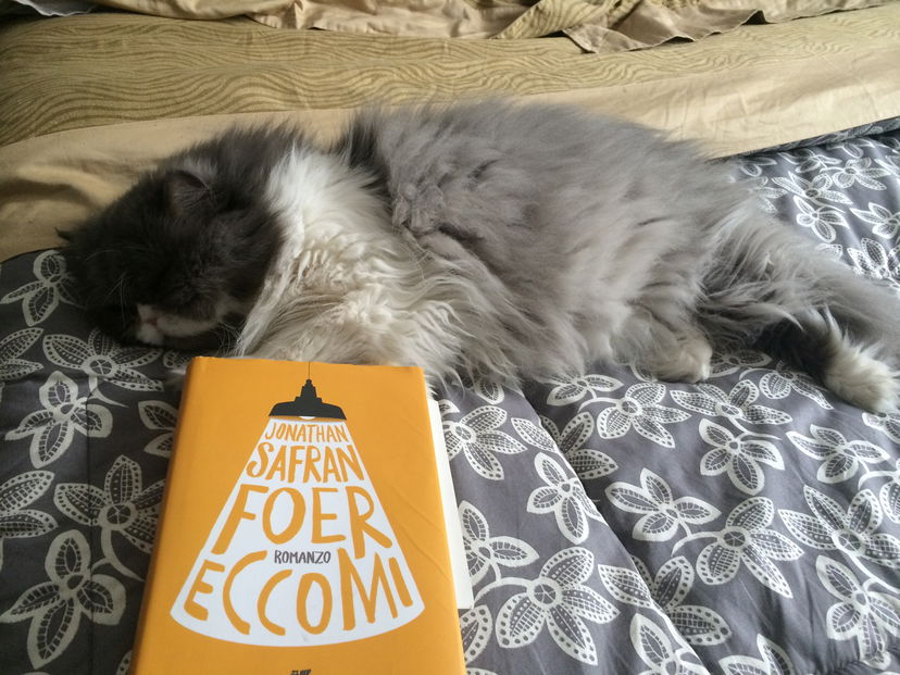 Eccomi, noi e il nostro Israele preview