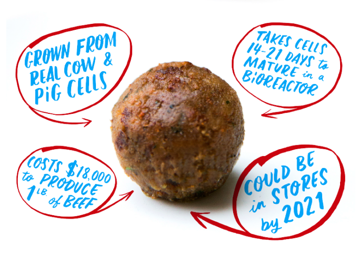 Memphis Meats, sognando i manifestanti pro macellazione preview