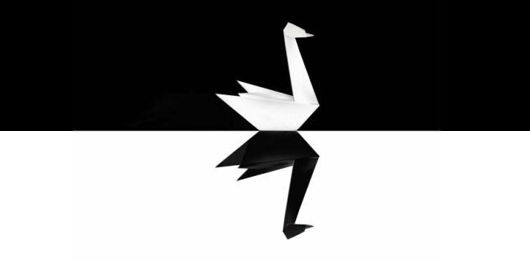 Il Cigno Nero, sopravvivenza nell’Estremistan preview