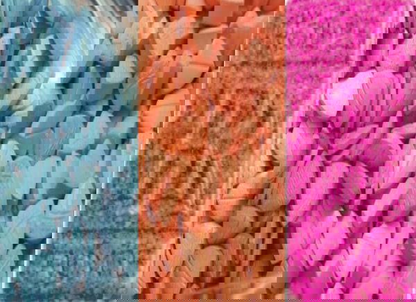 Rolls Royce e Tesla, la droga e il plagio di Achille Lauro preview