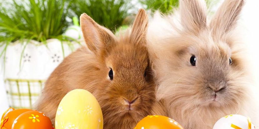 Come si calcola la Pasqua? preview