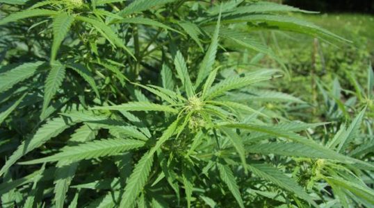 article-post