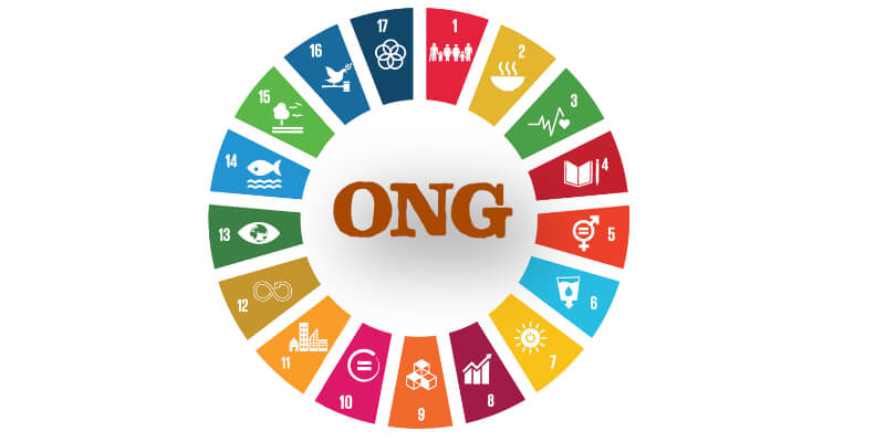 Cosa sono le associazioni no profit preview