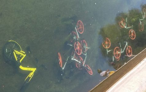 Sharing a Milano per vandali preview