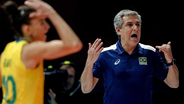 Il maestro Zé Roberto preview