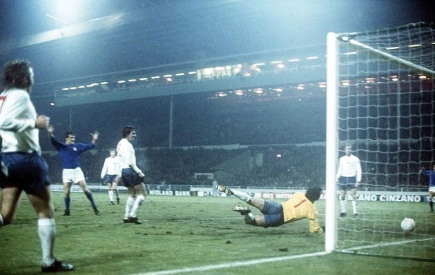 Capello e i cani preview