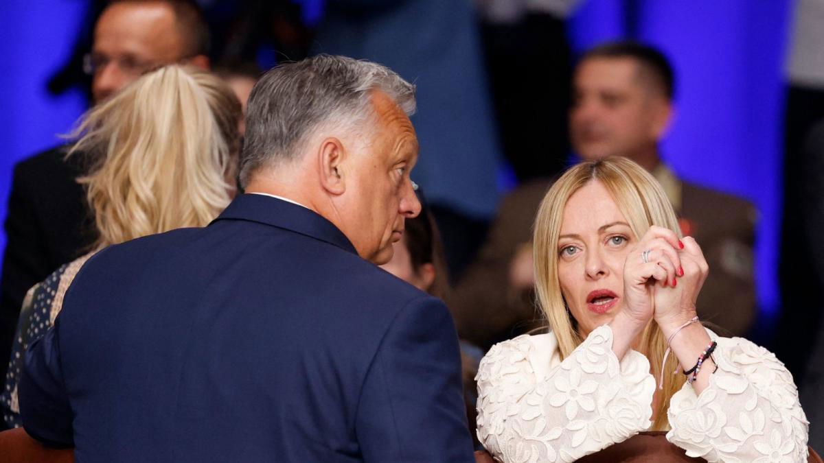 Orban o Salis? article-post