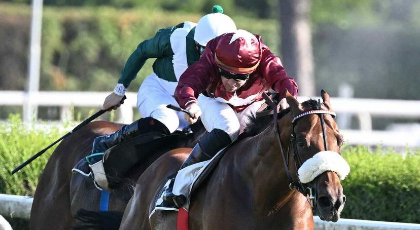 Il nuovo sport di Allegri preview