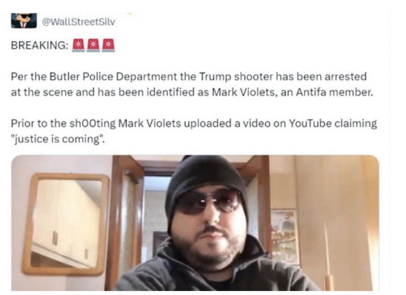 Il giornalista Mark Violets preview