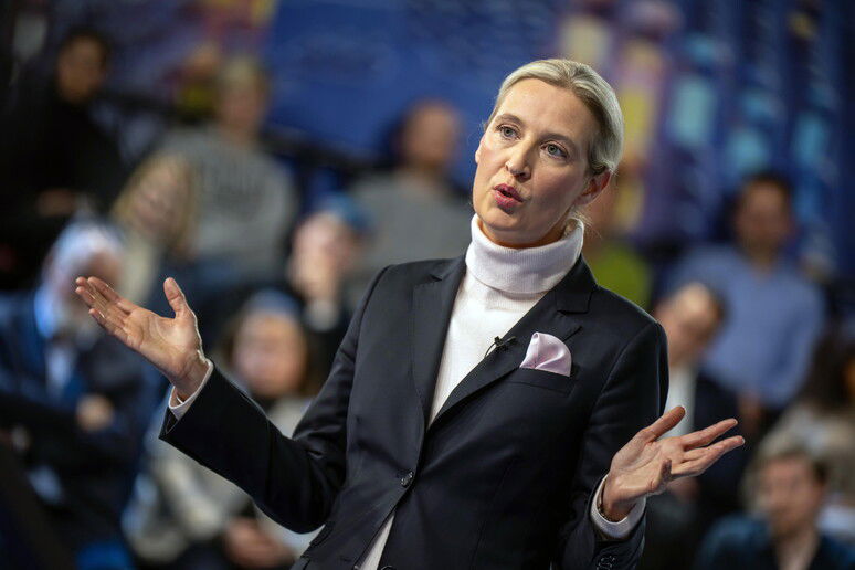AFD o Islam article-post