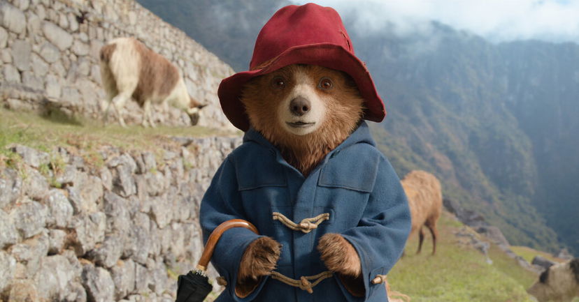 Paddington in Perù article-post