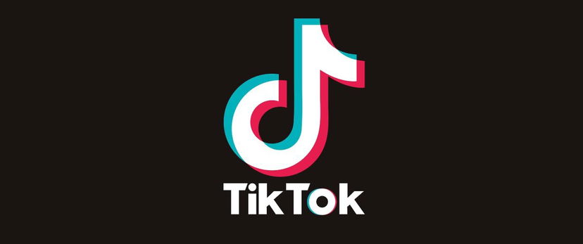 TikTok in Italia preview