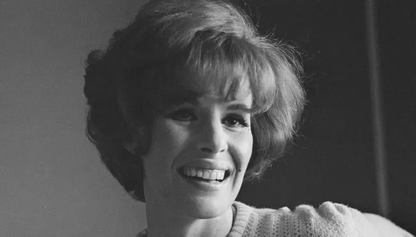 La musica è finita preview