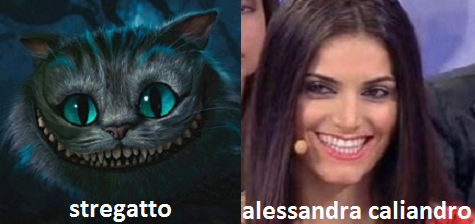 Somiglianza tra Alessandra Caliandro e lo Stregatto