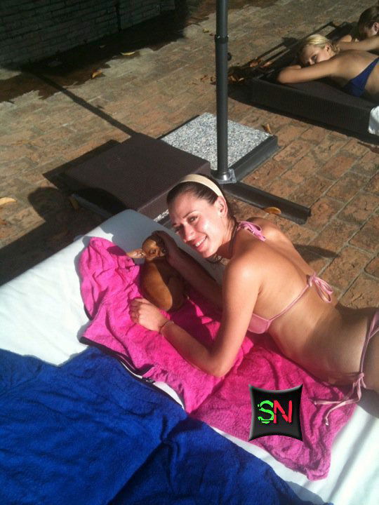 Nardi,Leonard,Tavassi Nardi,Leonard,Tavassi