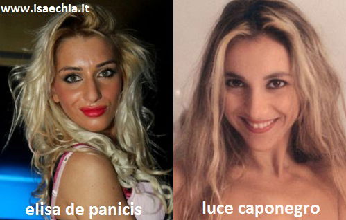 Somiglianza tra Elisa De Panicis e Luce Caponegro Somiglianza tra Elisa De Panicis e Luce Caponegro