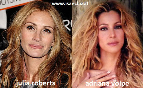 Somiglianza tra Julia Roberts e Adriana Volpe preview