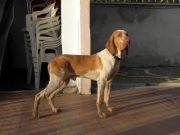 Un aiuto per Byron preview